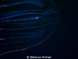 Jellyfish light show by Stefanos Michael 